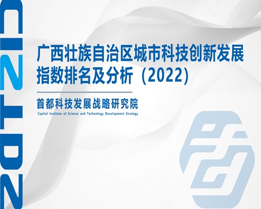 鸡吧插阴道网站【成果发布】广西壮族自治区城市科技创新发展指数排名及分析（2022）